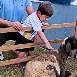 Criança alisando animal durante culminância do projeto 'Que Bicho É Esse?' da Escola Luz